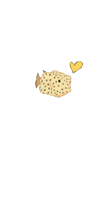 Fish Reunionisland Sticker