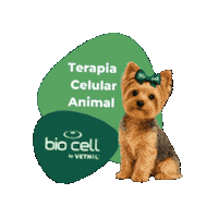 Terapia Celular Sticker by BIO CELL by Vetnil