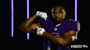 Celebrate Charm City GIF by Baltimore Ravens