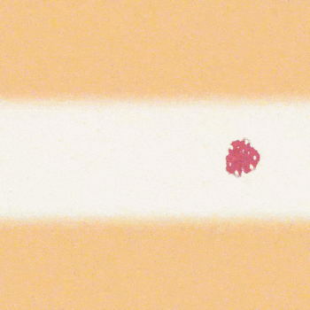 Wellcome Library Strawberry GIF by GIF IT UP