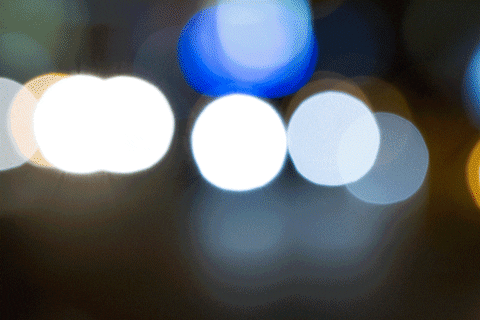 nightlife GIF