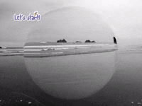 Germany Wow GIF by FranchiseONE.de