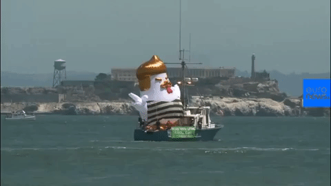 Trump Duck GIF by euronews