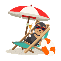 Summer Dogs Sticker by Petland Florida
