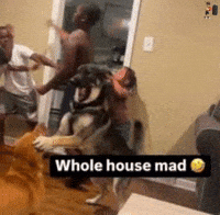 Boxing Ffa GIF