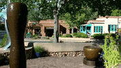 new mexico GIF