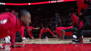 Toronto Raptors Tor GIF by NBA