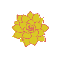 Spring Boho Sticker by Succulent Studios