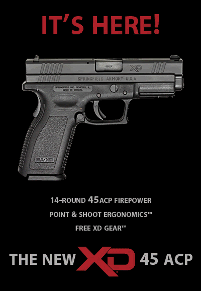pistols GIF