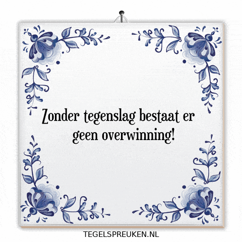 Nl Wijsheid GIF by Tegelspreuken.nl