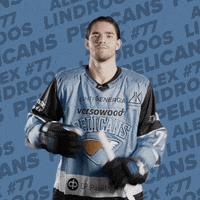 Celebration Goal GIF by Pelicans Lahti