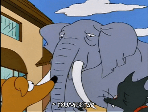 season 5 elephant GIF