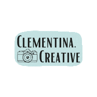 Artist Photography Sticker