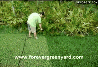paint wtf GIF by Cheezburger