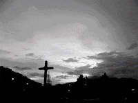 GIF by Canek