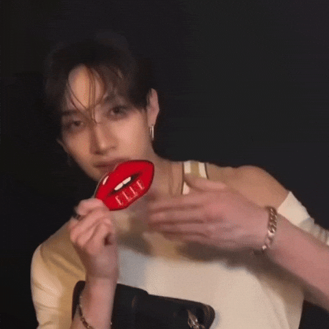 Stray Kids Love GIF
