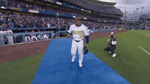 Los Angeles Dodgers Sport GIF by MLB