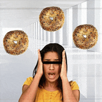 Everything GIF by BagelNet