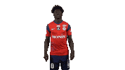 Goal Francois Sticker by La Berrichonne de Châteauroux