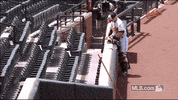bal GIF by MLB