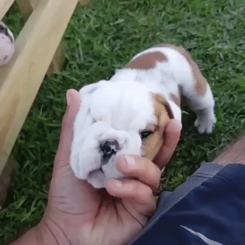 jermbly giphyupload GIF