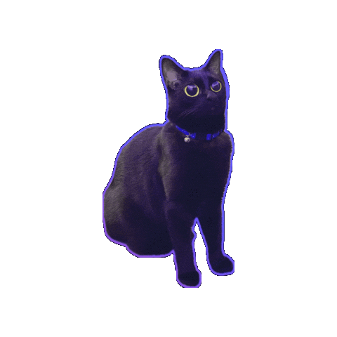 Zoning Out Black Cat Sticker by Rod Kim