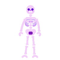 Skeleton Dance Sticker by kurzgesagt