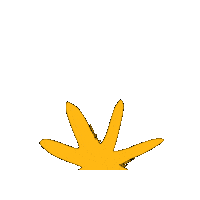 wgc_climate wedo wgc drawtheline feministclimatejustice Sticker