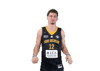 Basket Allard Sticker by Stade Rochelais