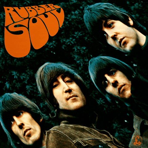 thefoolonthehill the beatles 1960s paul mccartney beatles GIF
