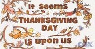 Ad gif. Illustrated autumnal tree branches with falling leaves surrounds text that reads "It seems Thanksgiving Day is upon us." Cox Communications logo appears in the corner.