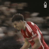 Football Win GIF by Nottingham Forest