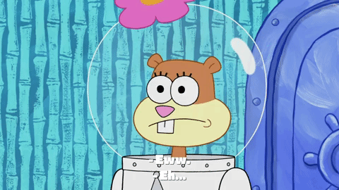 season 9 the fish bowl GIF by SpongeBob SquarePants