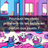 Chats GIF by ExpliquePourquoi.com