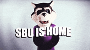 Home Sbuniv GIF by Southwest Baptist University