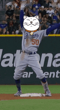 Cat Baseball GIF by ShiroNeko