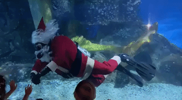 Merry Fishmas: 'Scuba Santa' Pays a Visit to Melbourne Aquarium