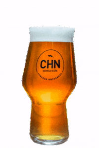 Friends Beer GIF by Cerveza Hormiga Negra