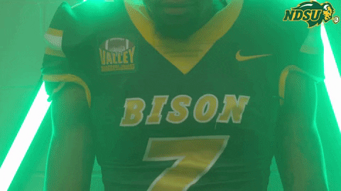 North Dakota State Helmet GIF by NDSU Athletics