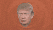 Donald Trump GIF by hero0fwar
