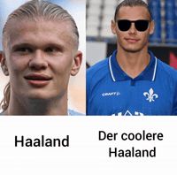 Sv Darmstadt 98 GIF