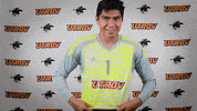 Utrgvmsoc GIF by GoUTRGV