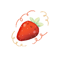 Food Fruit Sticker
