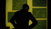 fox tv GIF by Gotham