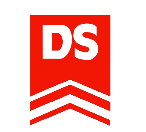 Logo Ds Sticker by dswohnbau_dsimmo