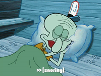 season 6 gullible pants GIF by SpongeBob SquarePants