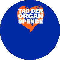 Tdo Bzga Sticker by House of Yas