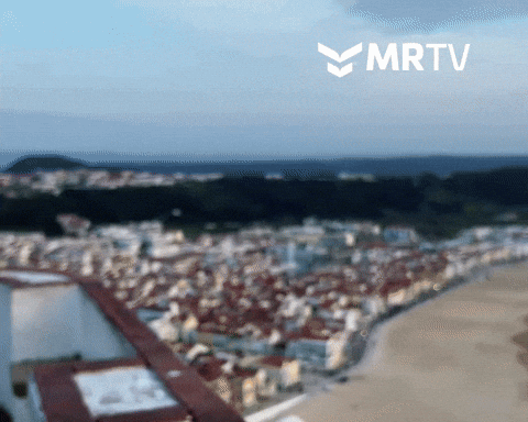 Peace Portugal GIF by Mr Urbina