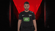 Come On Berlin GIF by Bundesliga