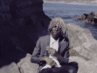 Music Video Seals GIF